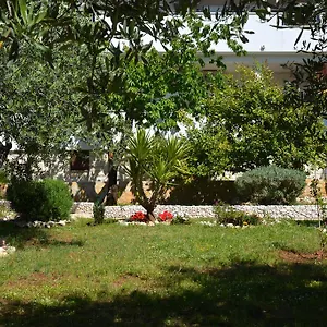 Apartament Maslina, Trogir